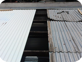 Roofing / Guttering and Maintenance